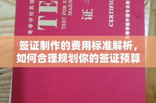 上高签证制作的费用标准解析，如何合理规划你的签证预算